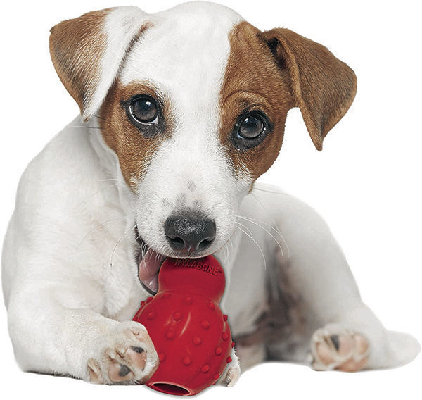 puppy_toy_CMYK.jpg